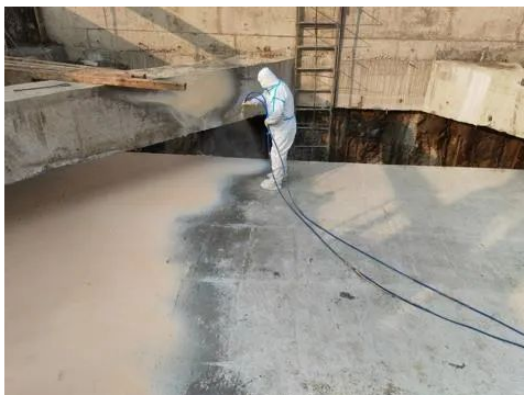 1735032245726 1735032245726